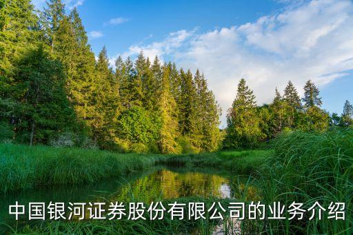 中國銀河證券股份有限公司的業(yè)務介紹