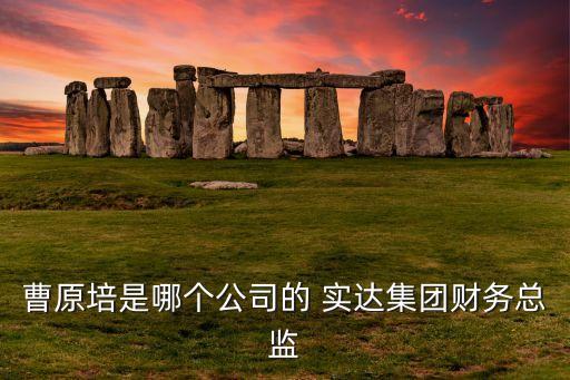 曹原培是哪個公司的 實達(dá)集團財務(wù)總監(jiān)