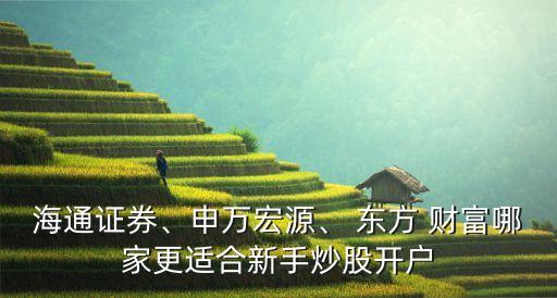 海通證券、申萬宏源、 東方 財富哪家更適合新手炒股開戶