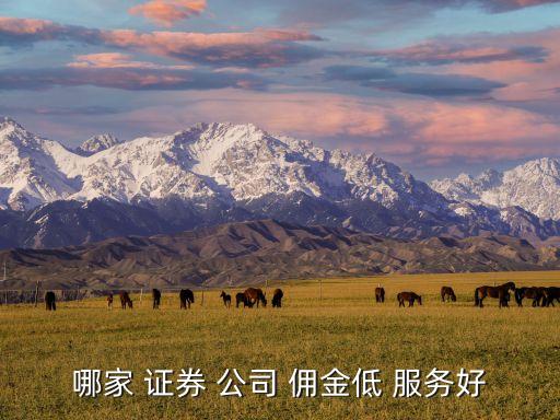 傭金低網(wǎng)上開(kāi)戶(hù)證券公司,股票開(kāi)戶(hù)證券公司傭金排名
