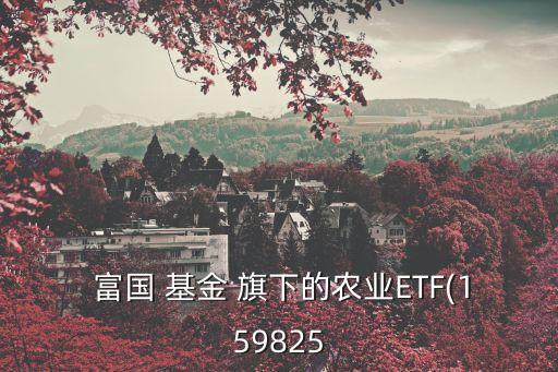  富國 基金 旗下的農業(yè)ETF(159825
