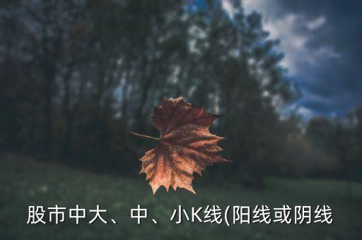 股市中大、中、小K線(陽線或陰線