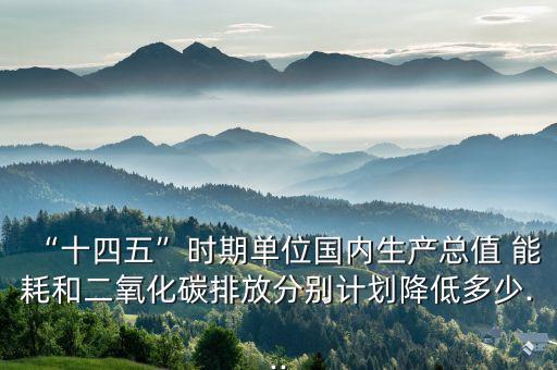 “十四五”時期單位國內生產總值 能耗和二氧化碳排放分別計劃降低多少...