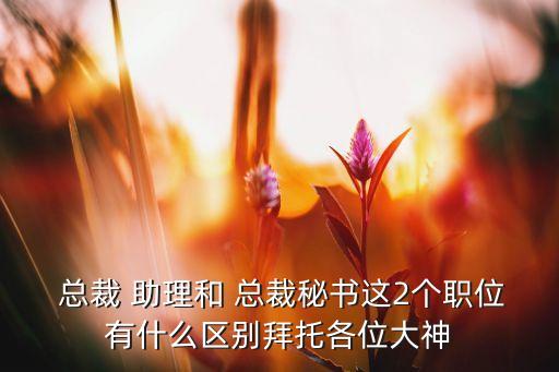 橫店集團(tuán)總裁助理,集團(tuán)總裁助理是什么級別