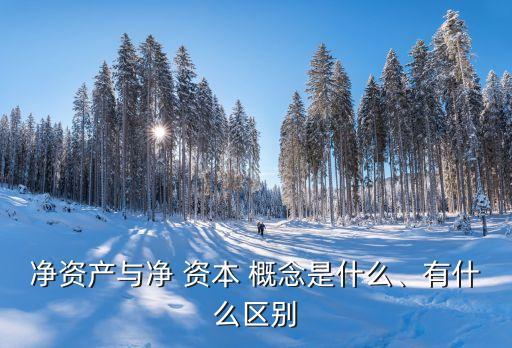 凈資產(chǎn)與凈 資本 概念是什么、有什么區(qū)別
