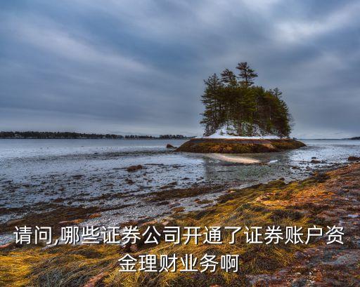 請(qǐng)問,哪些證券公司開通了證券賬戶資金理財(cái)業(yè)務(wù)啊