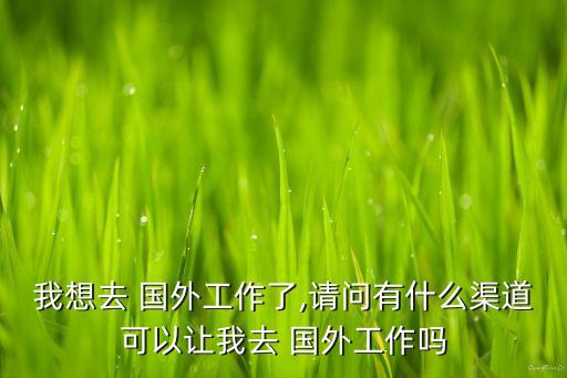 我想去 國外工作了,請(qǐng)問有什么渠道可以讓我去 國外工作嗎