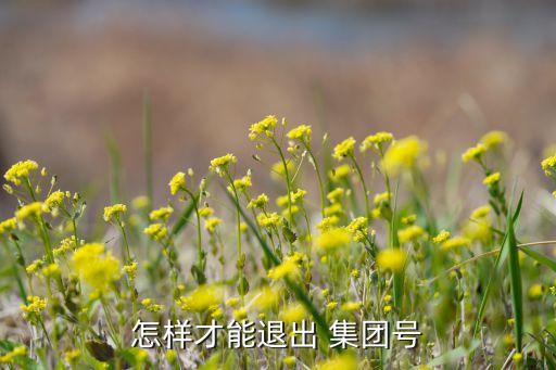 怎樣才能退出 集團(tuán)號(hào)