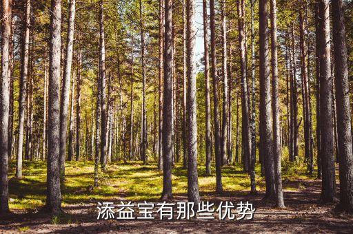 添益寶有那些優(yōu)勢