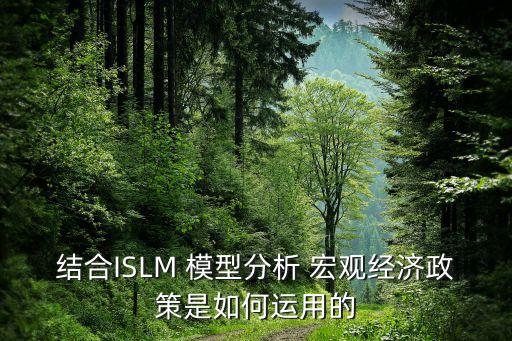 結(jié)合ISLM 模型分析 宏觀經(jīng)濟(jì)政策是如何運用的