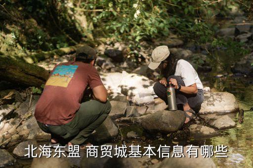 北海東盟 商貿城基本信息有哪些