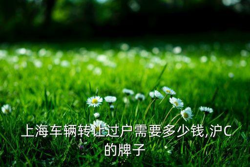  上海車(chē)輛轉(zhuǎn)讓過(guò)戶(hù)需要多少錢(qián),滬C的牌子