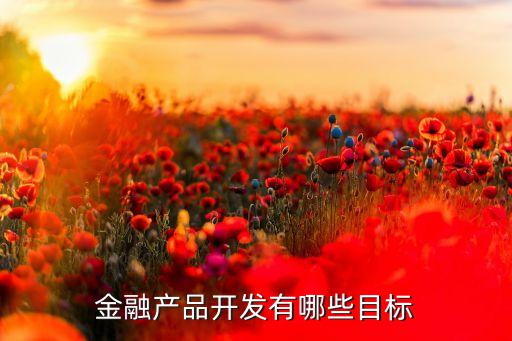 金融產(chǎn)品開(kāi)發(fā)有哪些目標(biāo)