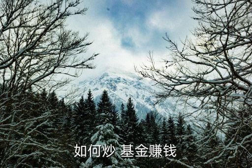 基金操盤手,社?；鸩俦P手