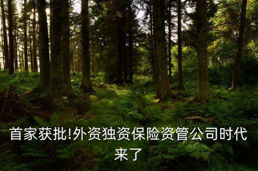 首家獲批!外資獨(dú)資保險(xiǎn)資管公司時代來了