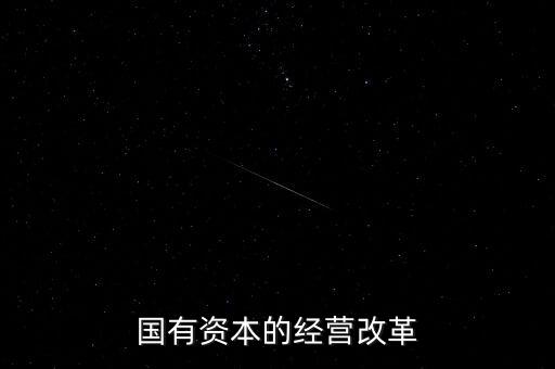 國有資本的經(jīng)營(yíng)改革