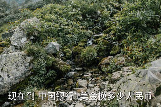 現在到 中國銀行1美金換多少人民幣