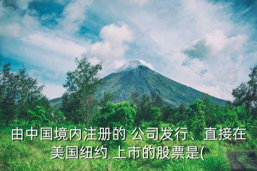 由中國(guó)境內(nèi)注冊(cè)的 公司發(fā)行、直接在美國(guó)紐約 上市的股票是(