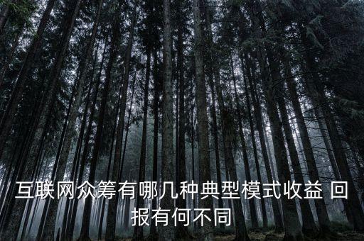 項(xiàng)目投資回報方式