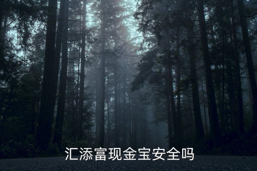  匯添富現金寶安全嗎
