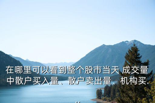 在哪里可以看到整個(gè)股市當(dāng)天 成交量中散戶買入量、散戶賣出量、機(jī)構(gòu)買...
