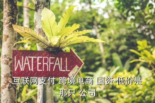 互聯(lián)網(wǎng)支付 跨境電商 國資 低價(jià)是那只 公司
