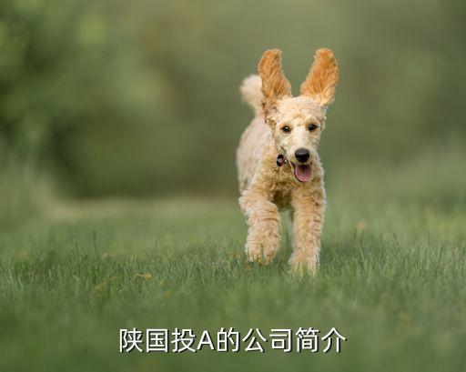 陜西申華投資管理有限公司,陜西文化產業(yè)投資管理有限公司