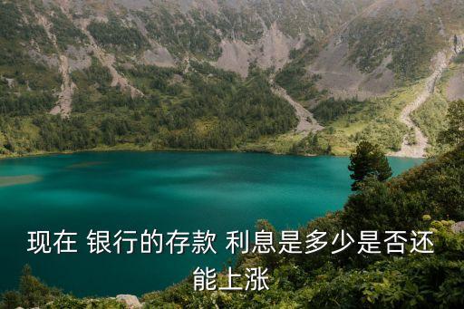 現在 銀行的存款 利息是多少是否還能上漲