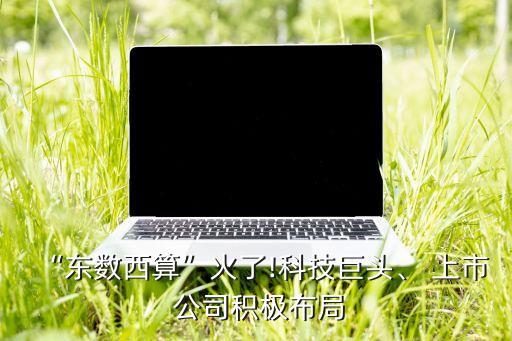 “東數(shù)西算”火了!科技巨頭、 上市 公司積極布局
