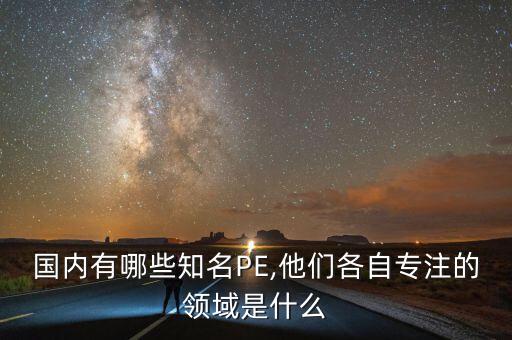 國(guó)內(nèi)有哪些知名PE,他們各自專(zhuān)注的領(lǐng)域是什么