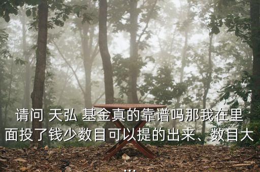 請問 天弘 基金真的靠譜嗎那我在里面投了錢少數(shù)目可以提的出來、數(shù)目大...