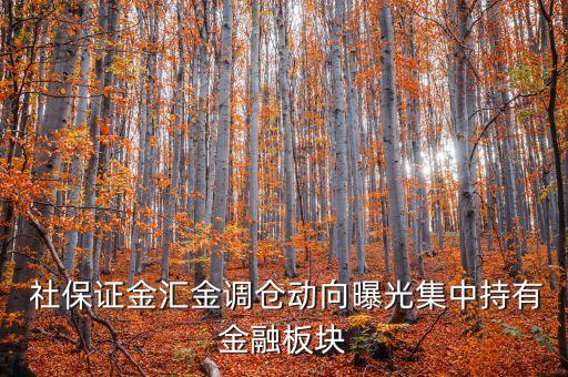 2014年二季度社?；鹬貍}股票