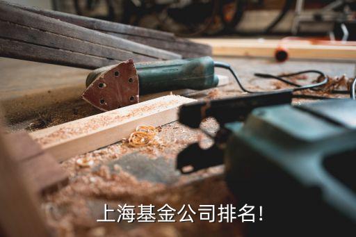 上海嘉上投資,上?；煦缤顿Y