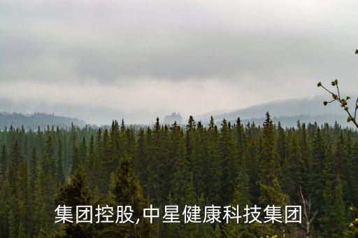 中星集團(tuán)控股,中星健康科技集團(tuán)