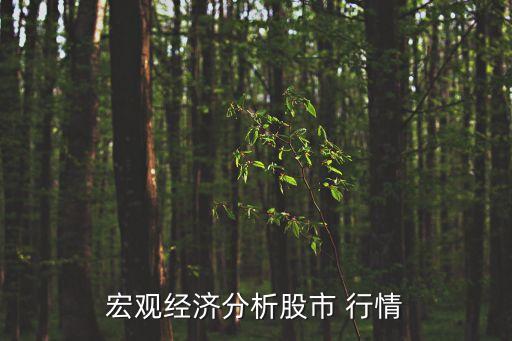 股票今日行情大盤(pán)走勢(shì)圖,中國(guó)西電股票今日行情大盤(pán)