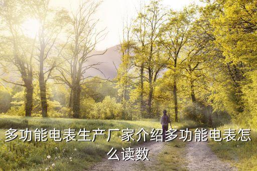 多功能電表生產(chǎn)廠(chǎng)家介紹多功能電表怎么讀數(shù)