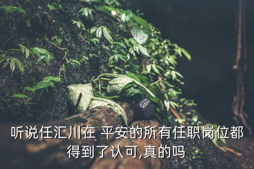 中國平安董事會風(fēng)險(xiǎn)管理委員會,董事會風(fēng)險(xiǎn)管理委員會的主要職責(zé)權(quán)限包括
