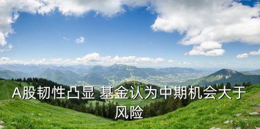 A股韌性凸顯 基金認(rèn)為中期機(jī)會大于風(fēng)險