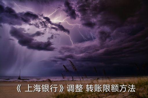 上海銀行怎么網(wǎng)上轉賬