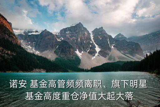 諾安 基金高管頻頻離職、旗下明星 基金高度重倉(cāng)凈值大起大落