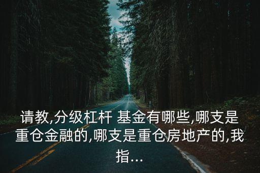 請教,分級杠桿 基金有哪些,哪支是重倉金融的,哪支是重倉房地產的,我指...