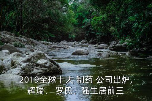 2019全球十大 制藥 公司出爐,輝瑞、 羅氏、強(qiáng)生居前三