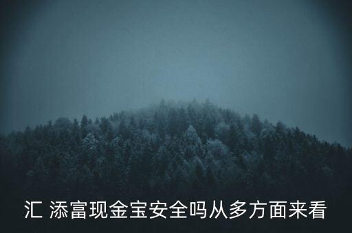 匯 添富現(xiàn)金寶安全嗎從多方面來(lái)看
