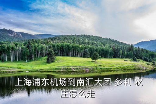  上海浦東機場到南匯大團 多利 農莊怎么走