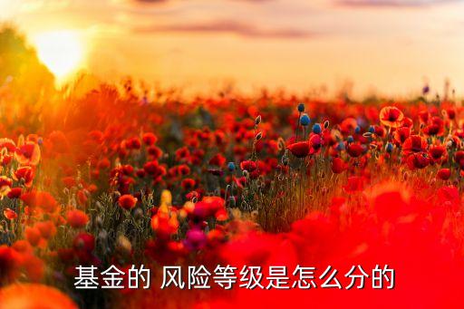 各類(lèi)型基金風(fēng)險(xiǎn),基金各類(lèi)型的區(qū)別
