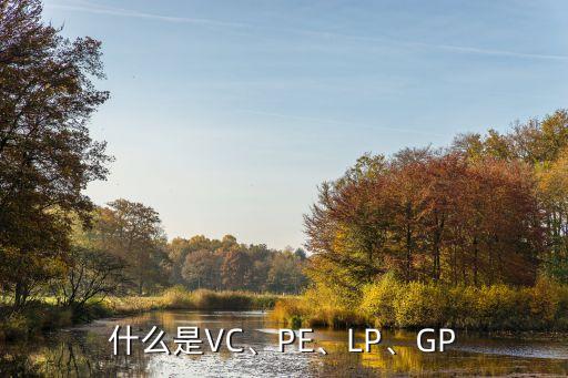 什么是VC、PE、LP、GP