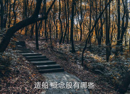 中國(guó)海洋概念股創(chuàng)業(yè)板,創(chuàng)業(yè)板新能源汽車(chē)概念股