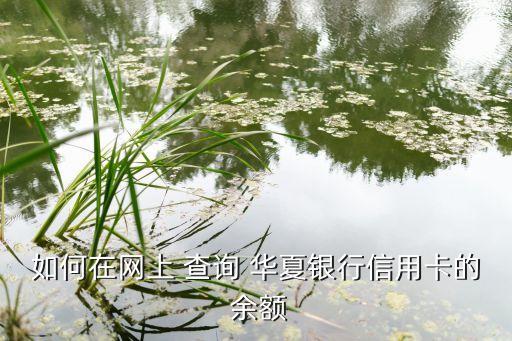如何在網(wǎng)上 查詢(xún) 華夏銀行信用卡的 余額