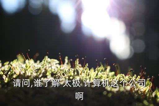 請問,誰了解 太極 計(jì)算機(jī)這個(gè)公司啊