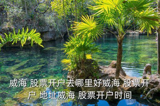 威海 股票開(kāi)戶(hù)去哪里好威海 股票開(kāi)戶(hù) 地址威海 股票開(kāi)戶(hù)時(shí)間